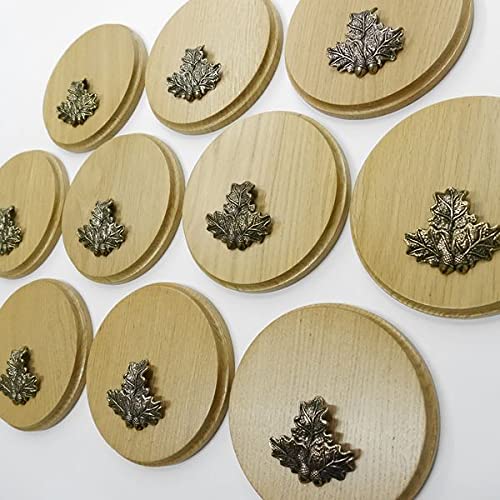 GTK Oferta 10 placas de cuña redondas de roble claro AF 15 cm tabla cuña, tabla de especias, cartel para trofeos con 10 hojas de roble