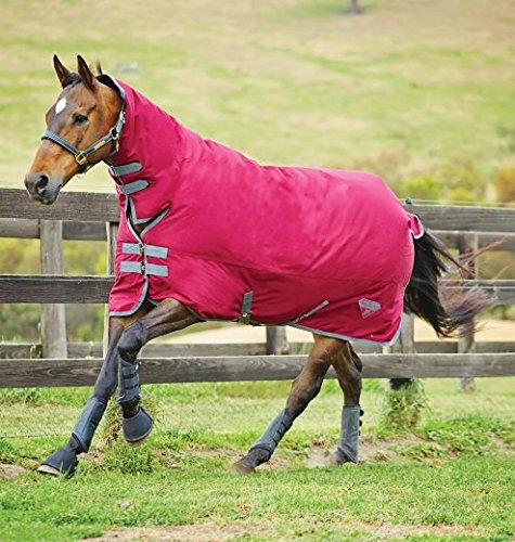 Saxon 600D 200g Combo Medium Turnout Rug - Rhododendron Grey: 4ft3"