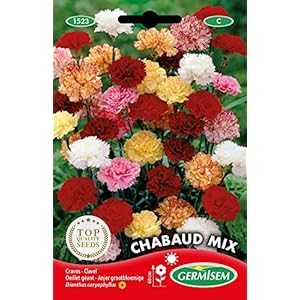 Germisem EC1523 Chabaud Mix Zaden 0.8 g