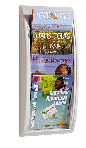 Paperflow 826842 - Expositor de pared con 4 casillas, A4, color gris