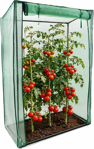 Image of DIVCHI Greenhouse Garden Tomato Growhouse Vegetables Grow Tent Green House With Roll-Up Door Reinforced Cover & Heavy Duty Frame