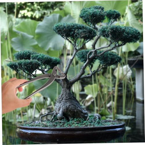 Toddmomy 盆栽用剪定はさみ 園芸用さみ 人間工学に基づくグリップ 耐久炭素鋼製 剪定バサミバネ付き 枝切り 形状整え用