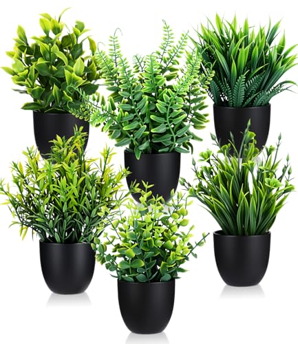 Cexovo Mini Ecologización Artificiales 6 Piezas Pequeñas Plantas Artificiales en Maceta Falsas Plantas Verdes Planta Artificial Pequeña para Mesa de Despacho Baño Hogar Decoración Negro