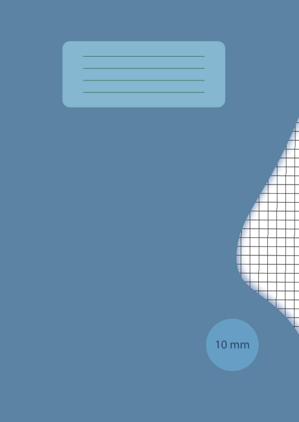 Maths Exercise Book A4 10mm: A4 School Exercise Book,10mm (1cm) Squared Quad Ruled Grid Paper Notebook for Math and Science Students,Blue Paperback, 100 Pages