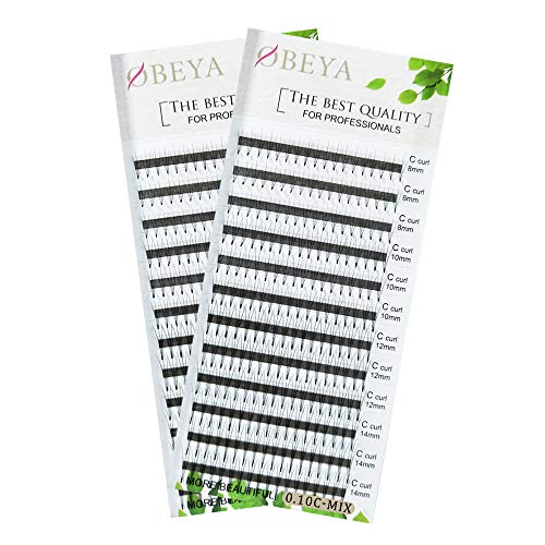2 Trays 0.10mm 3D W C Curl 8-14mm Mix Length Premade Volume Fans Eyelash Extensions False Fake Individual Eyelash Clusters Soft Natural Cluster Lashes for Professional