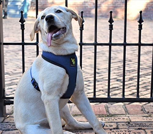 Image of EcoBark Dog Harness - Eco-Friendly Max Comfort Harnesses - Luxurious Soft Mesh Halter - Over The Head Harness Vest- No Pull and No Choke for Puppy, Small Breeds & Medium Dogs (Large, Navy)