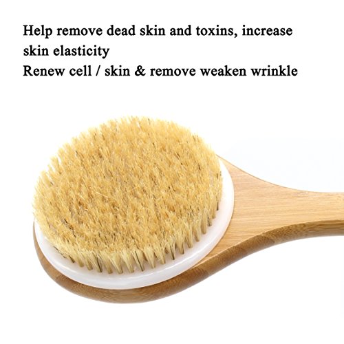 Esup Body Brush Dry Brush Back Scrubber Bath Brush with Long Bamboo Handle for Cellulite and Exfoliating, Perfect Christmas Gifts for Woman and Wen - Thumbnail 2