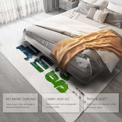Tapis de salon 80x150cm lavable fin pour simplifier l'entretien du sol