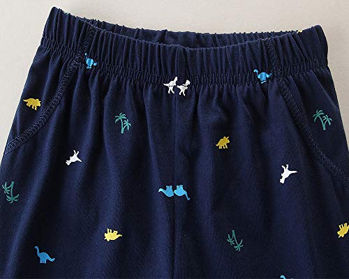 Bumeex Toddler Boys Clothes Dinosaur Short Sleeve Tee And Shorts Set Size 6 #TOP4