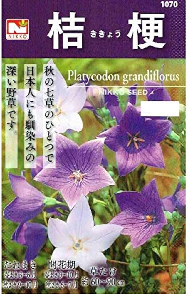 桔梗エサン〇エル 桔梗エサン〇エル 桔梗エサン〇エル Amazon.co.jp: Z/Xゼクス/ P16-019