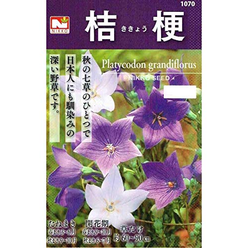 桔梗様 キキョウ 桔梗 さみだれ混合[FKK110]/小袋 | 野菜・草花の種苗の