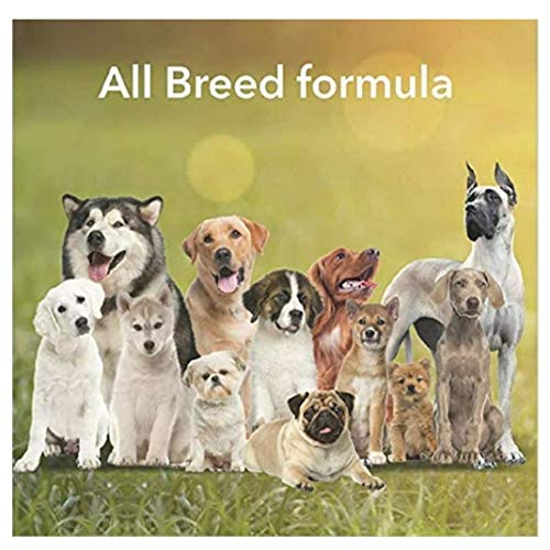 Image of Rawhide Spiral Munchy Sticks 2 Kg Dog Treat For All Breed Sizes (1 Kg Mutton And 1 Kg Chicken), All Life Stages