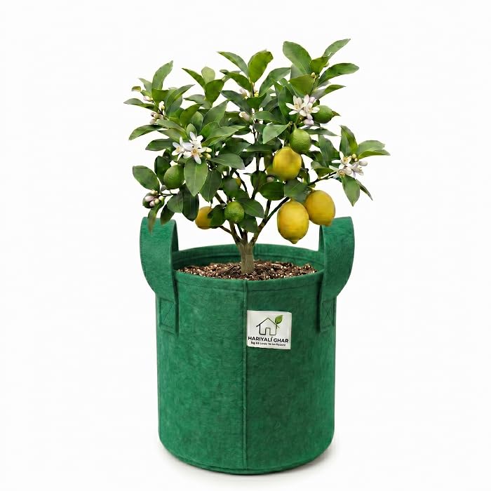 Image of 400 GSM Geo Fabric Round Grow Bags 8x8 Inch with Handle, Green Planting Bags for Terrace and Kitchen Gardening Pack of 1