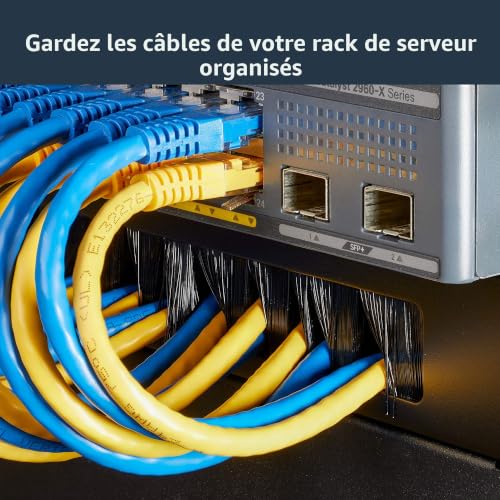 StarTech.com Panneau Gestion de Câbles Horizontal pour Racks de Serveurs 1U Passe Câbles avec Brosse Panneau de gestion de câbles Acier 421 - vue 5
