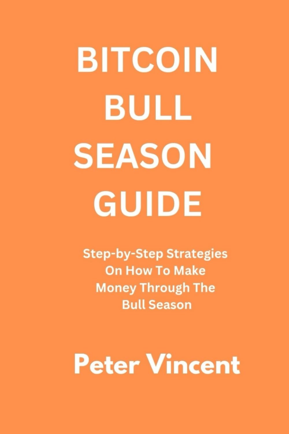 BITCOIN BULL SEASON GUIDE: Step-by-Step Strategies On How To Make Money Through The Bull Season