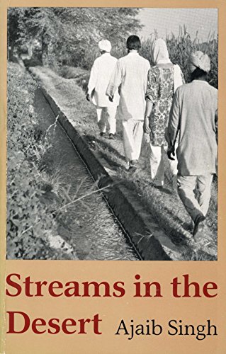 Streams in the Desert view 2