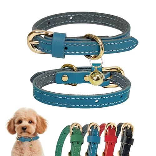 Collar de cuero Guiding Star para cachorros azul XS