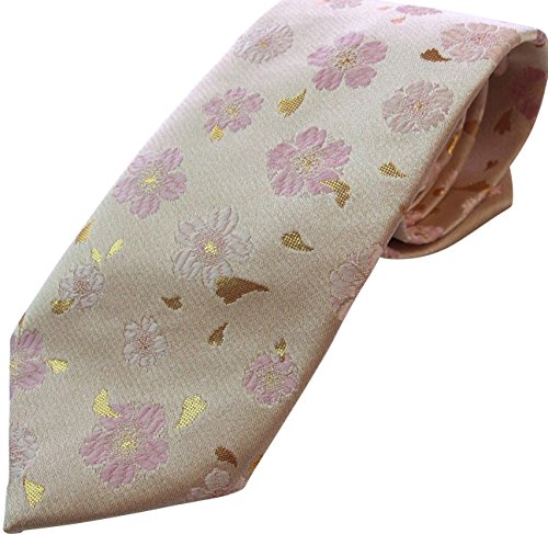 ō a lN^C E  ̈{ { nhCh wD  ɂœK (sN )