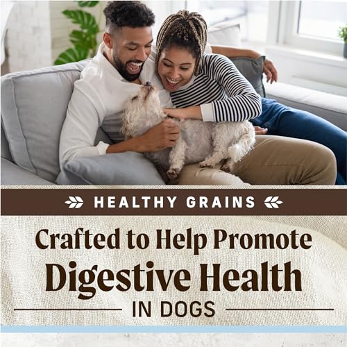 Merrick Gut Health Recipe, Healthy Grains Natural Chicken and Rice Dry Dog Food with Yogurt-Infused Clusters - 4 lb. Bag - Thumbnail 4