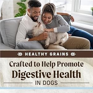 Merrick Intestine Well being Recipe, Wholesome Grains Pure Rooster and Rice Dry Canine Meals with Yogurt-Infused Clusters - 4 lb. Bag Merrick Intestine Well being Recipe, Wholesome Grains Pure Rooster and Rice Dry Canine Meals with Yogurt-Infused Clusters – 4 lb. Bag