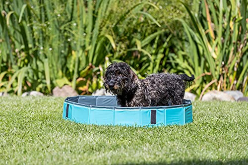 Trixie Hundepool 70 × 12 cm in blau/grau- faltbares Hundeplanschbecken mit rutschfestem Boden & robuster Wandkonstruktion ohne Aufpumpen -39480