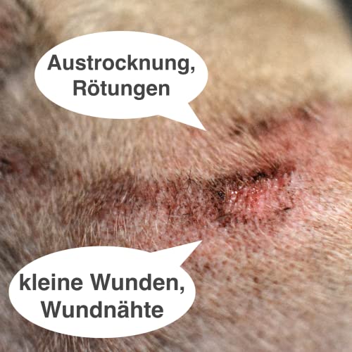 FürDeinTier Skin feuchthaltend | 100 ml Wundschutz- und Wundsalbe für Hunde, Katzen und Pferde geeignet | mit Propolis-Extrakt, Sheabutter, Panthenol