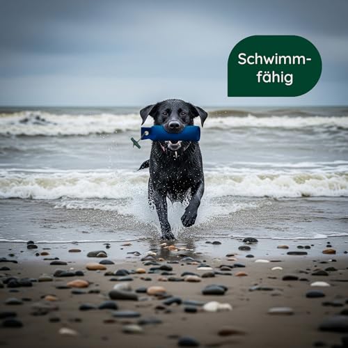 Romneys Hundetraining Dummy 500g - Robust & Schwimmfähig, Apportierprüfungen Zugelassen - Ideal für Wasserarbeit, aus Reißfestem Canvas (blau)