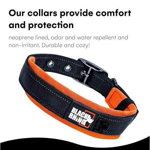 Black Rhino Dog Collars for Medium Dogs - Adjustable Reflective Heavy Duty Dog Collar with Ultra-Soft Neoprene Padding - Weatherproof, Durable, and Comfortable for Active Dogs - Orange and Black