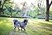The Natural Pet Company Dog Rope Toy Pack Includes 2X Dog Toys and Presentation Box.
