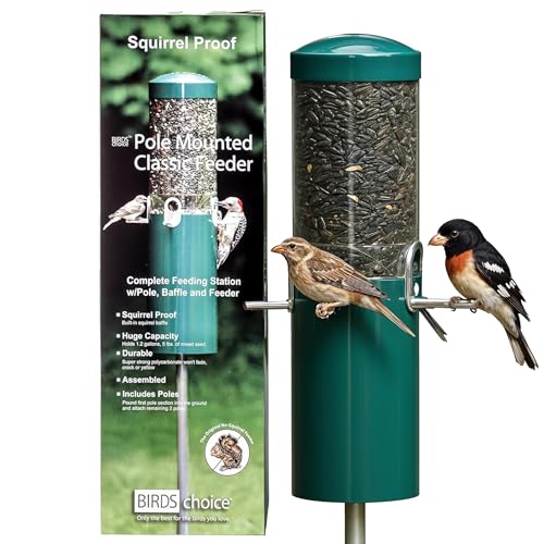 Birds Choice Classic Squirrel Proof Bird Feeder with Pole Mount | Tube Bird Feeder for Cardinals, Chickadees, Woodpeckers | Sturdy Steel for Long-Lasting Use | Backyard Birdseed Dispenser | Green