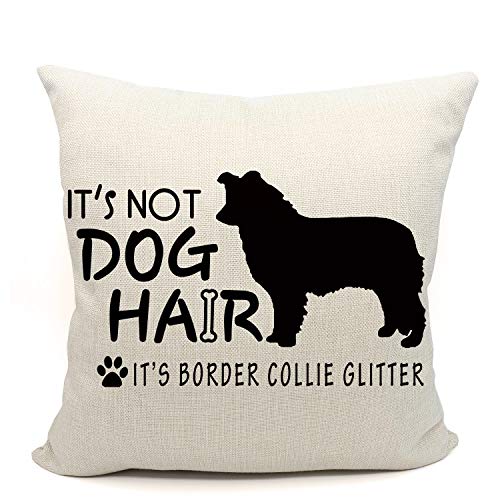 It's not dog hair it's border collie glitter throw pillow case