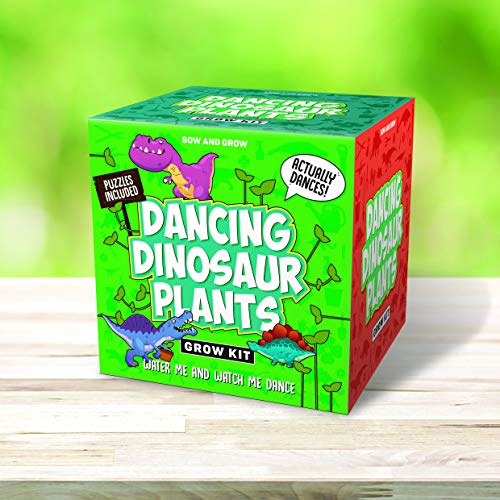 Gift Republic Dancing Dinosaur Plants Grow Kit, Multi