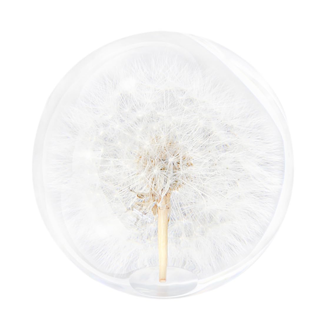 Kristallkugel, Pusteblumen-Briefbeschwerer, Traumball, einzigartiger Briefbeschwerer aus Kunstharz, Geschenke für Kinder und Freunde, Pusteblumen-Briefbeschwerer, Kugel, Glas, Briefbeschwerer, Kristal
