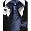 C02-navy Blue Paisley