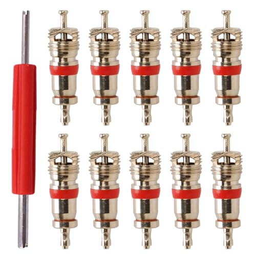 GNALIA Démonte Obus Valve 11 Pièces, Extracteur De Valve Avec 10 Noyaux De Valve 12,3X1,8X1 Cm Pour Voiture Moto Vélo, Rouge