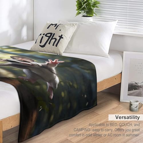 Couverture flannel polaire Flying Écureuil contre le froid douce pour canapé - 6