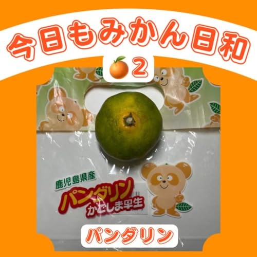 🍊2：みかんとカレー