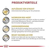 Royal Canin Veterinary Urinary S/O Small Dogs | 1,5 kg | Diät-Alleinfuttermittel für ausgewachsene kleine Hunde | Kann zur Auflösung von Struvitsteinen beitragen | Harnverdünnung