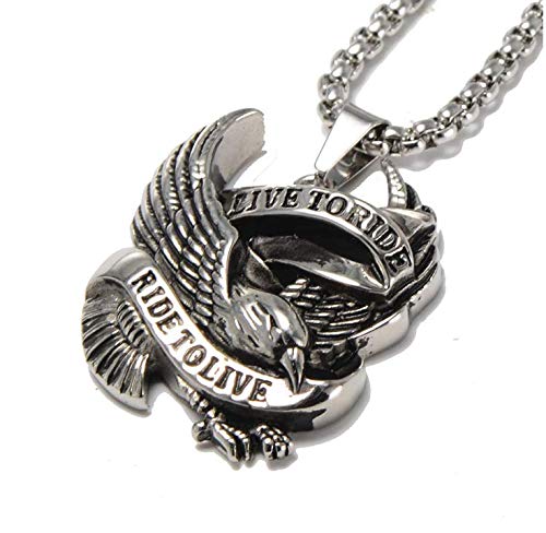 Stainless Steel Punk Hawk Eagle Pendant Motorcycle Biker Necklace For Men, 24" Chain (Black) #TOP3
