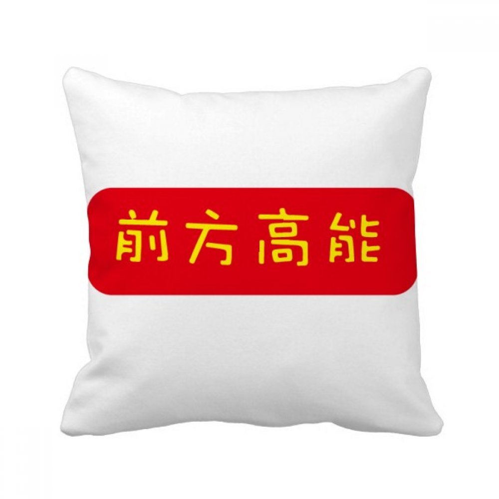 Coussin chinois Safe Landing carré multicolore 40x40cm doux