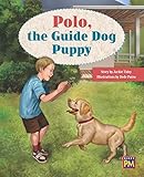 Polo the Guide Dog Puppy: Bookroom Package Orange Level 15 Grades 1-2 (Rigby PM Collection)