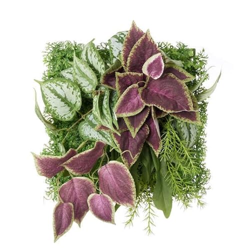 GREENPARK XL_vTX×REX pl ϗtA tFCNO[ EH[O[ǖʗΉ