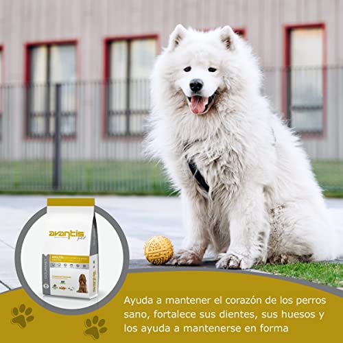 Avantis Pet Gourmet Futter für ausgewachsene Hunde mittlerer und großer Rassen, 15 kg, sehr nährstoffreich mit Lamm und Reis