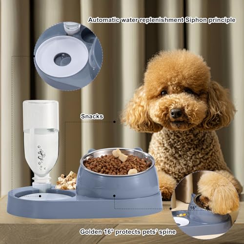 Futterstation Katzen mit Automatischer Wasserflasche 2 In 1 Erhöhte Schüssel Aus Edelstahl Anti-Erbrechen Katzennäpfe für Kleine, Mittelgroße Katzen Hunde Blau