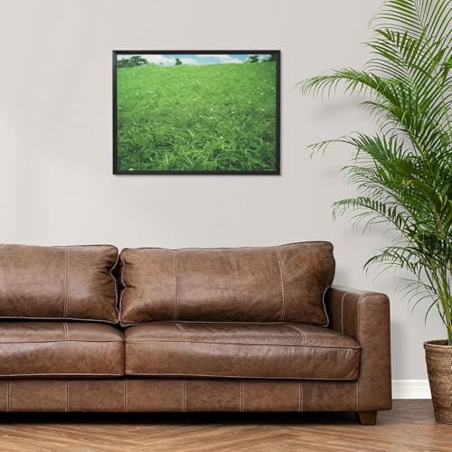 Toile murale encadrée noire pour rompre la monotonie d'un mur blanc, motif pelouse verte