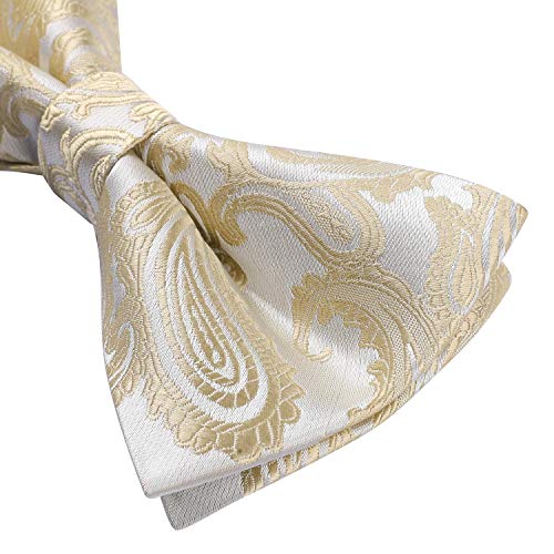 Image of HISDERN Bow Ties for Men Pretied Bow Tie Set Paisley Classic Bowties and Pocket Square Cufflinks Set for Wedding Party