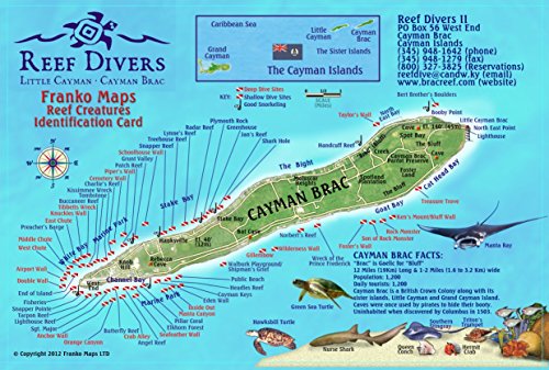 Buy Cayman Brac Island Dive &amp; Reef Creatures Guide Laminated Fish Card ...