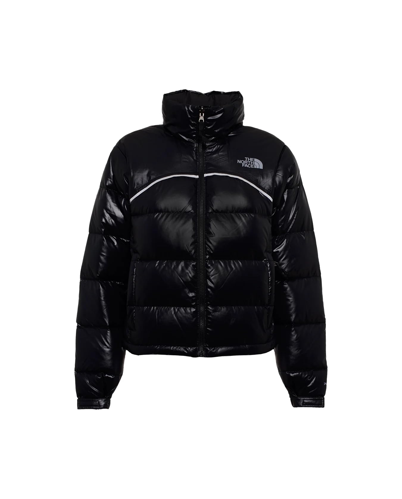 The North Face W 2000 Retro Nuptse Jacket Kadın Outdoor Kısa Mont NF0A831FJK31 Siyah
