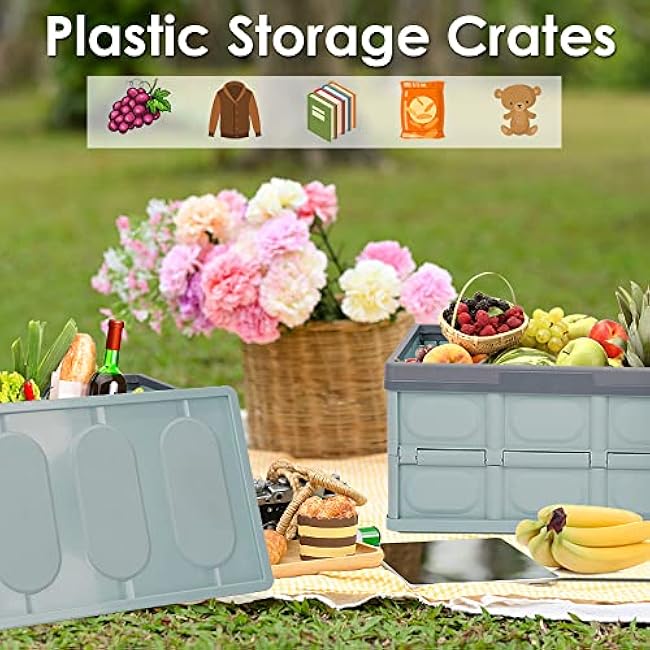 Phyllia Foldable Storage Boxes with Lidsz, 3 Pack Collapsible Plastic Storage Bins Organizer Containers Baskets Cub with Cover,Stackable Utility Crates Storage Box (Blue, 30L)