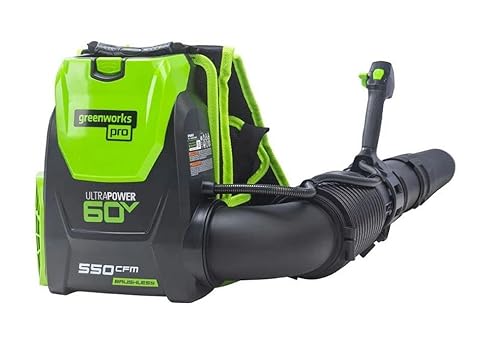Greenworks Pro 60-Volt Max Lithium Ion 550-CFM 150-MPH